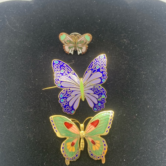 Jewelry - Brooches and pin cloisonné